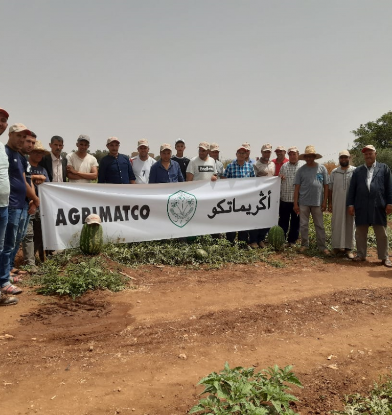 Visit of a very beautiful plot of the SENTINEL watermelon variety in the Béni Mellal region